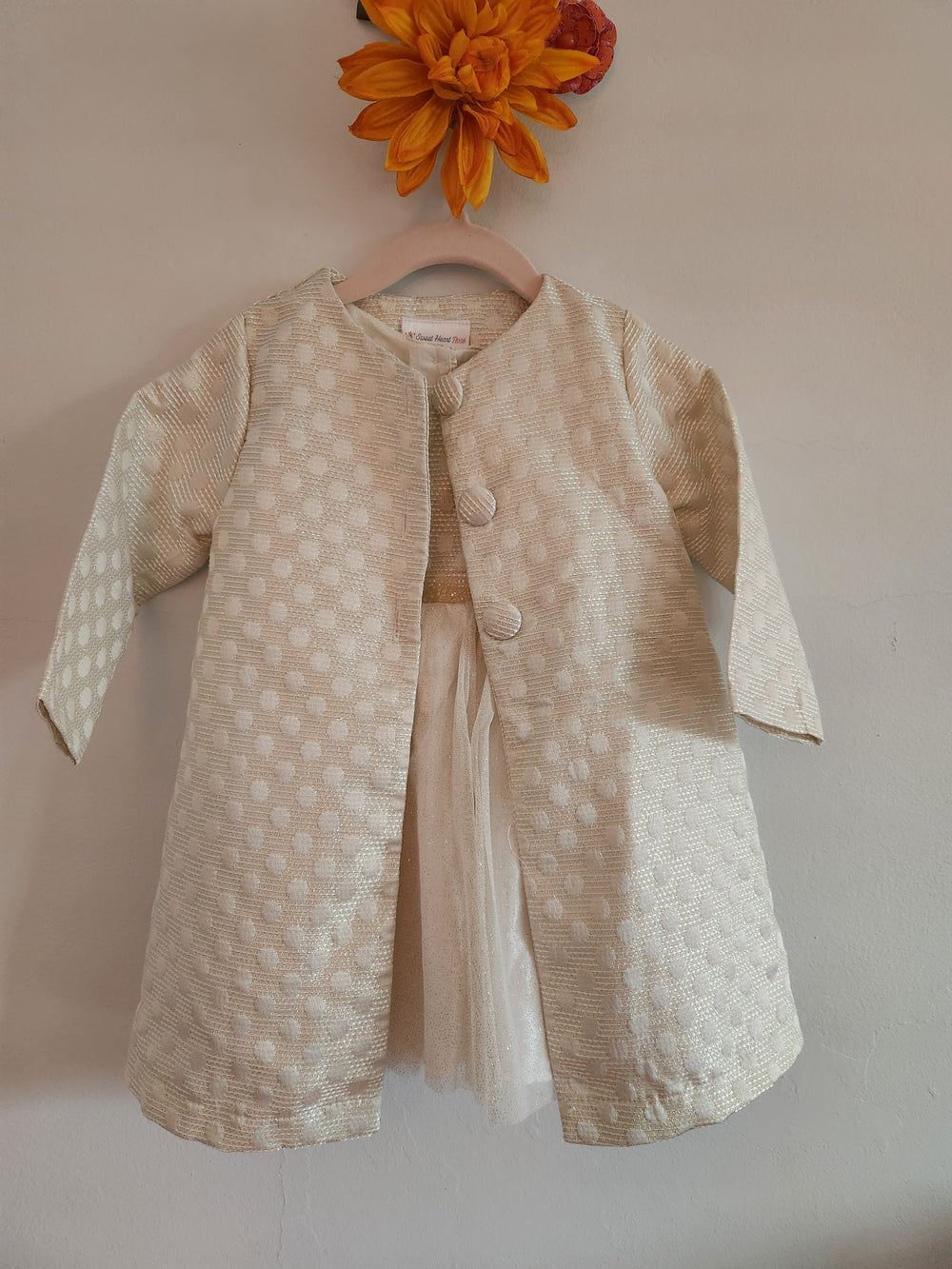 Dani Dazzle (Size 2T) Girl's Dress and Coat Ensemble