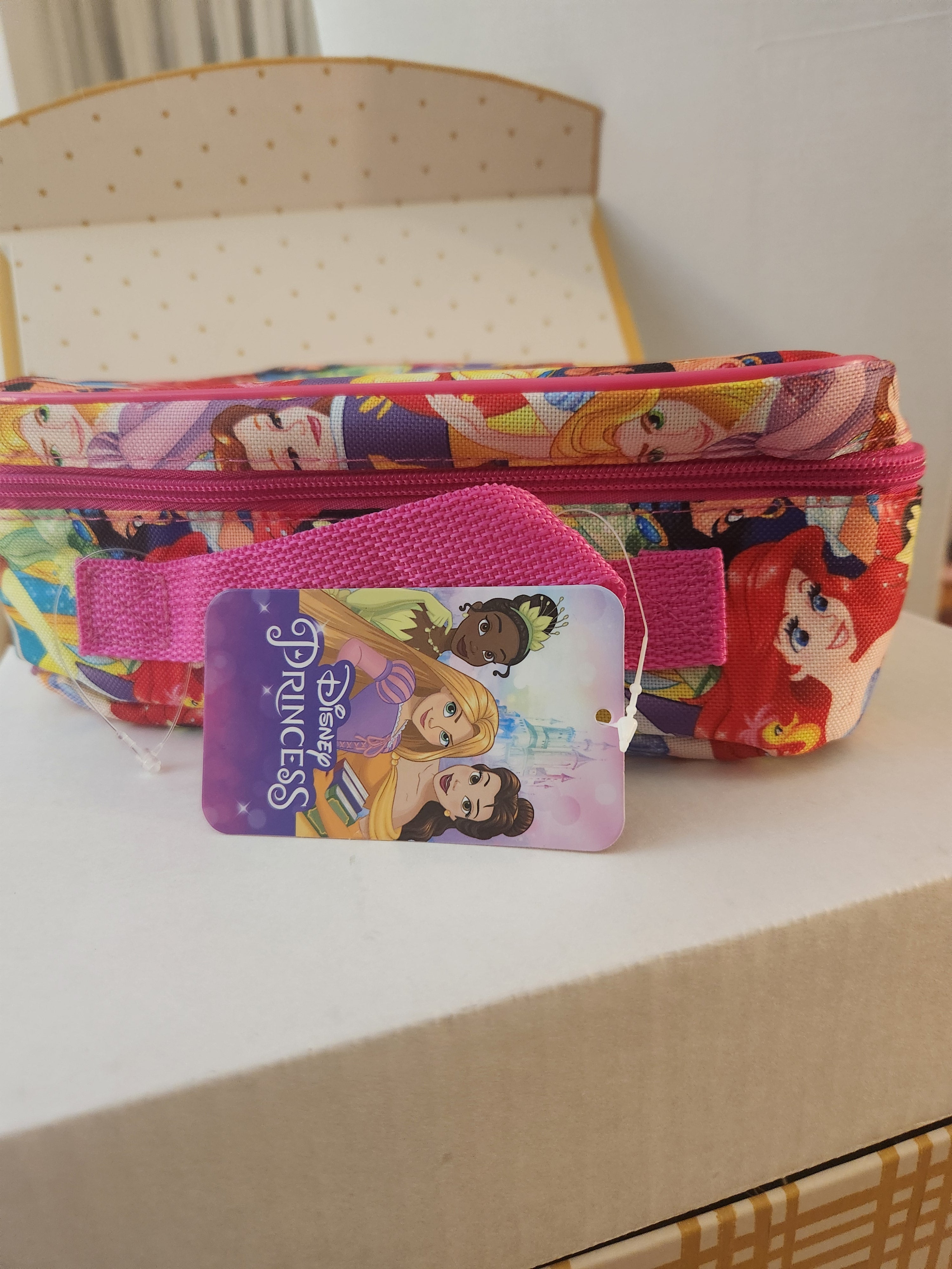 Disney Princess Lunch bag, Zipper Closure