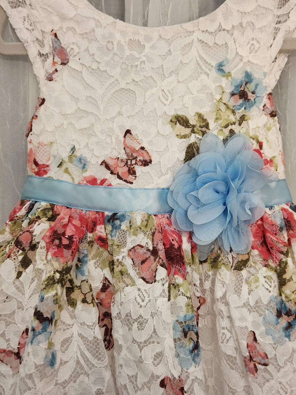 Delicate Deanna (Size 4T) Girl's Dress