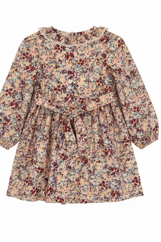 Insightful Iris (Size 3T) Girl's Dress