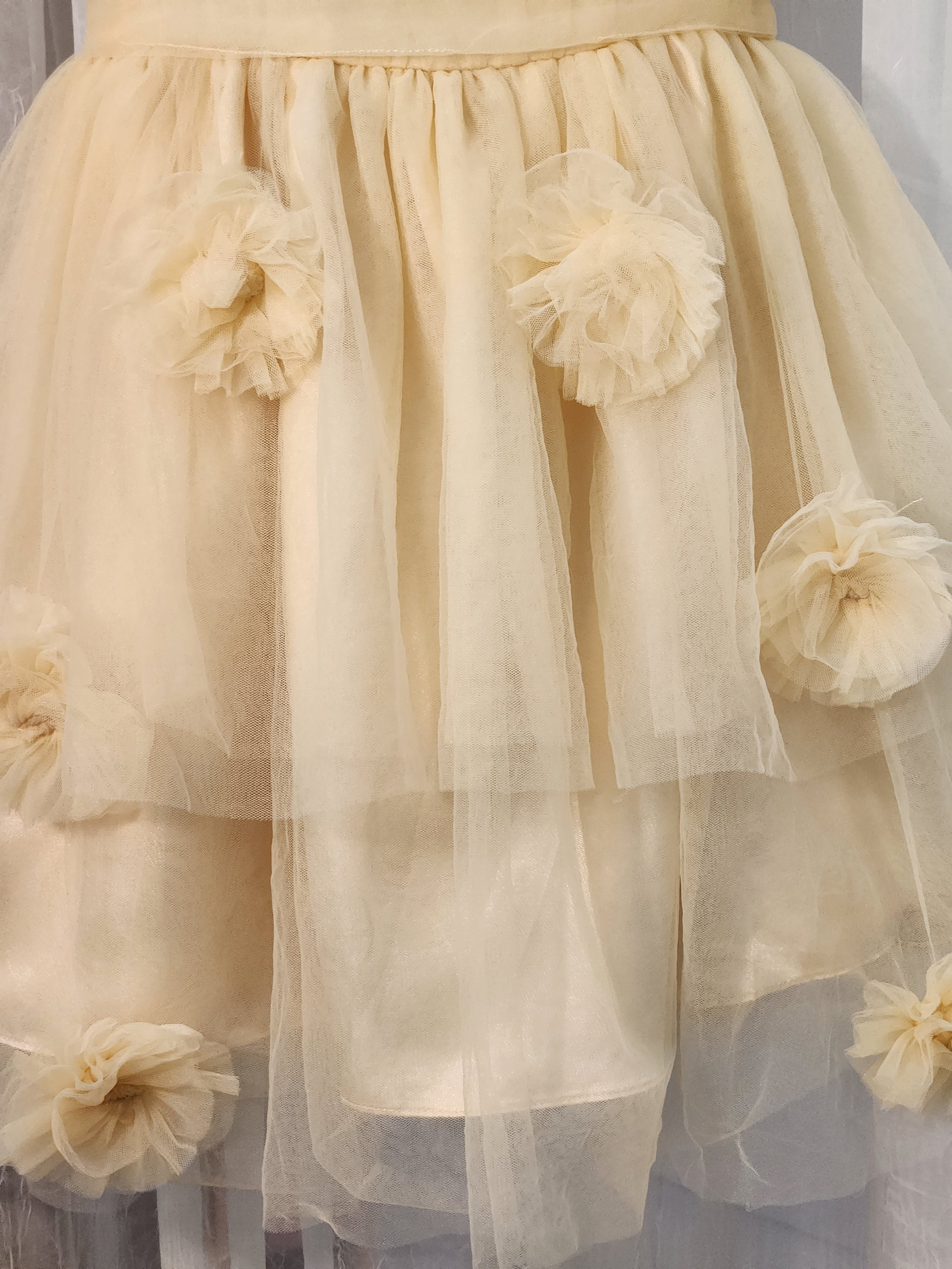 Phenomenal Phoenix (Size 4) Girl's Formal Dress