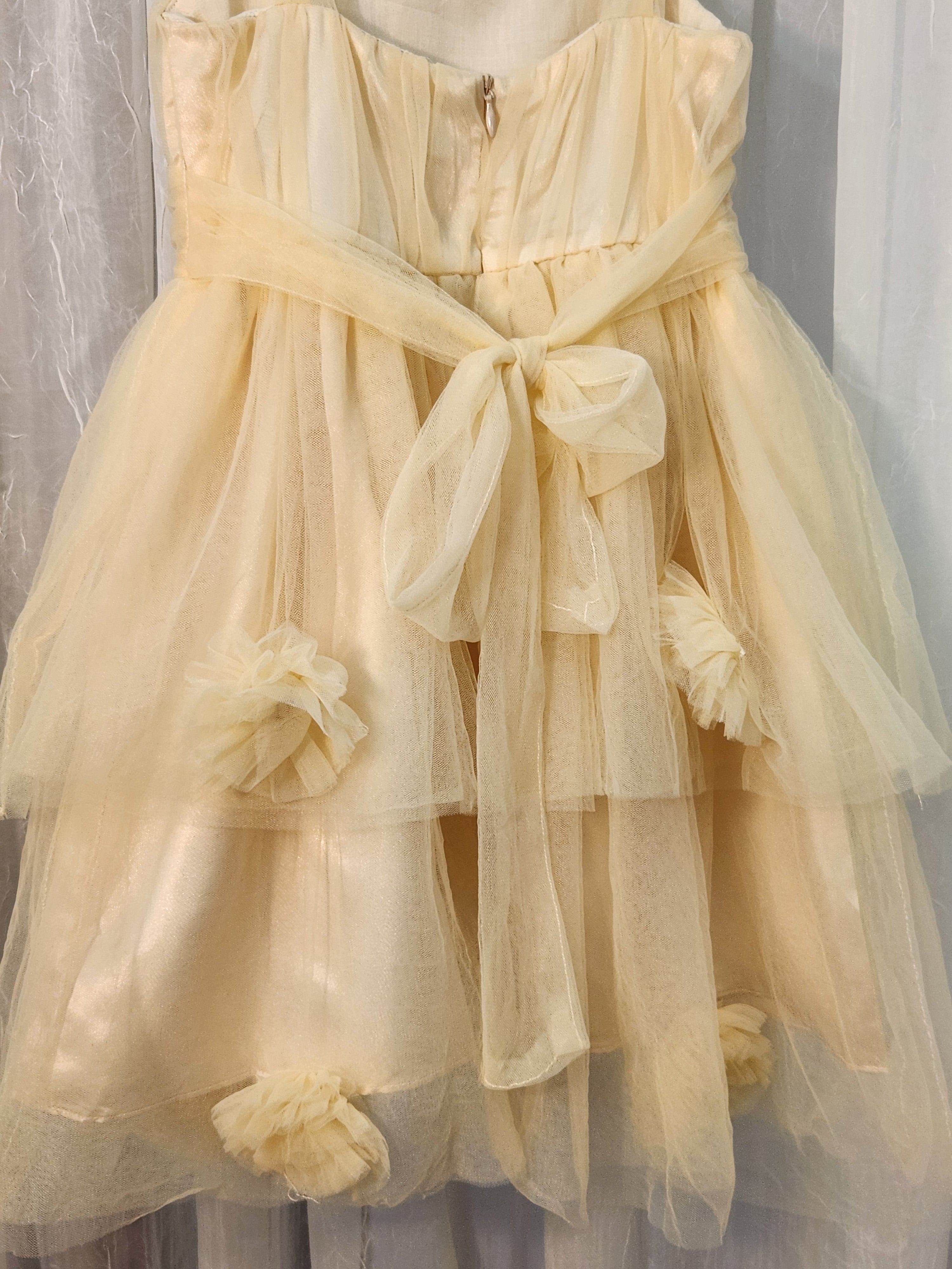 Phenomenal Phoenix (Size 4) Girl's Formal Dress