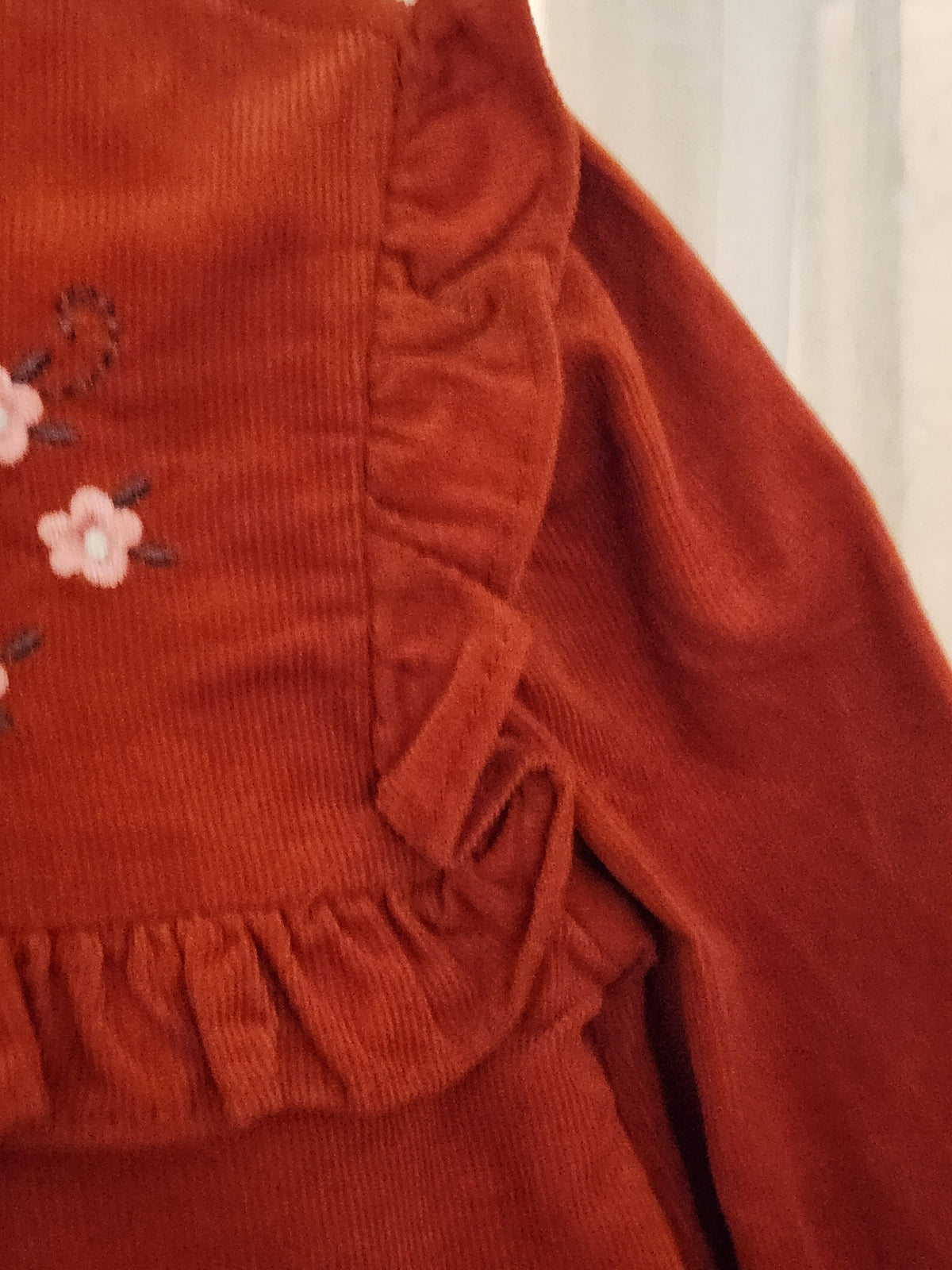 Victorious Veronica (Sizes 0/3M & 3T) Girl's Dress