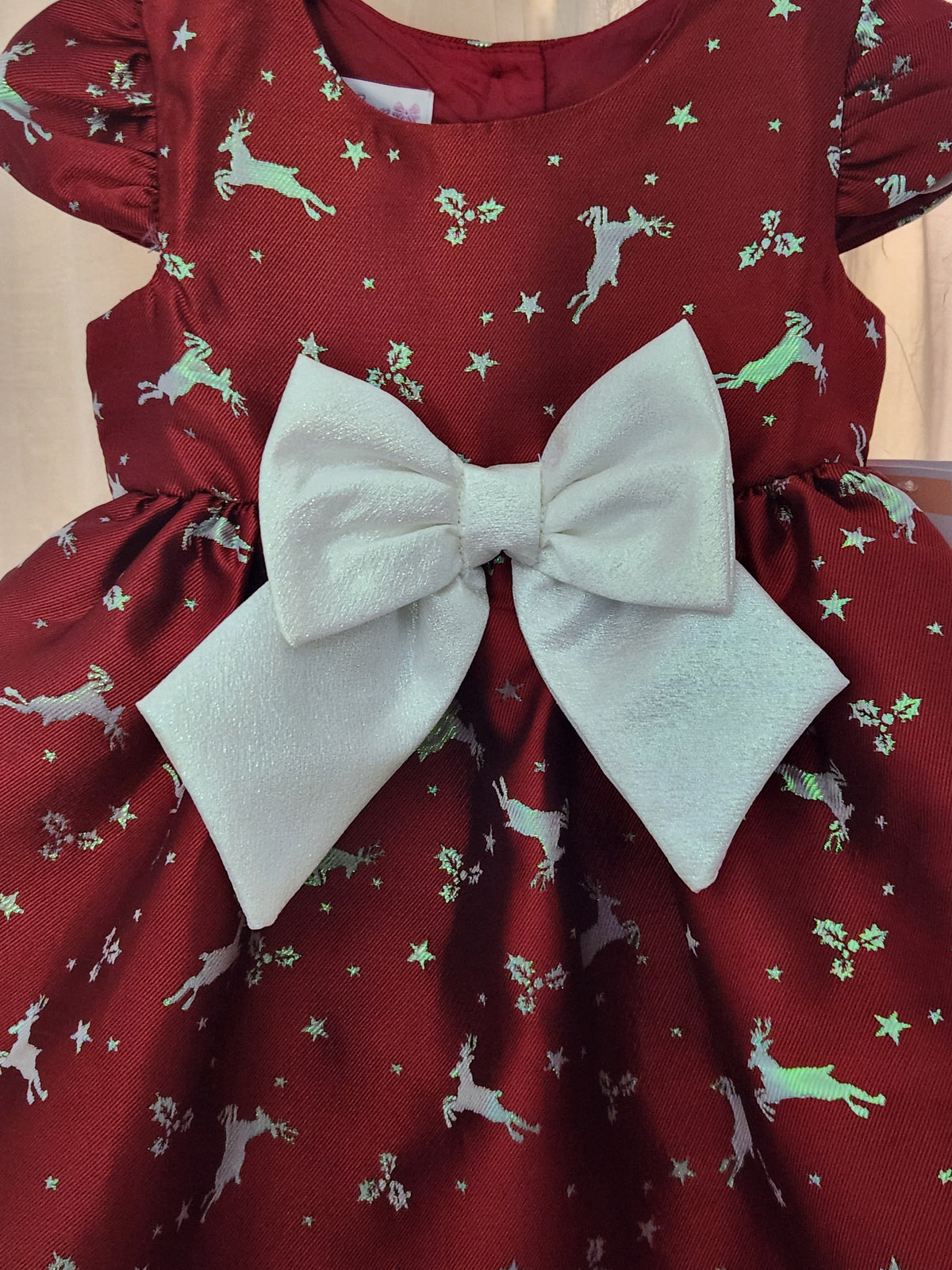 Ruby Rudolph (Size 2T-3T) Girl's Dress
