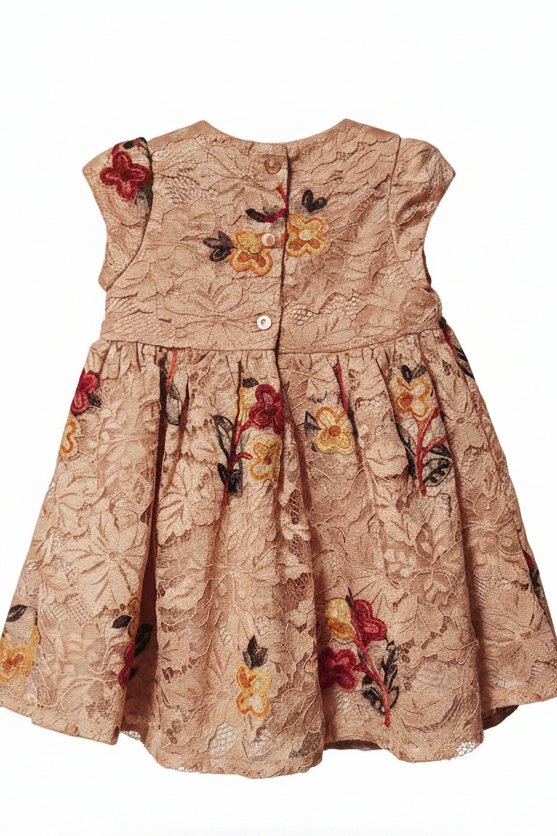 Camera-Ready Charlotte (12 mons) Girl's Dress
