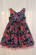 Enthusiastic Everly (Size 5) Girl's Dress