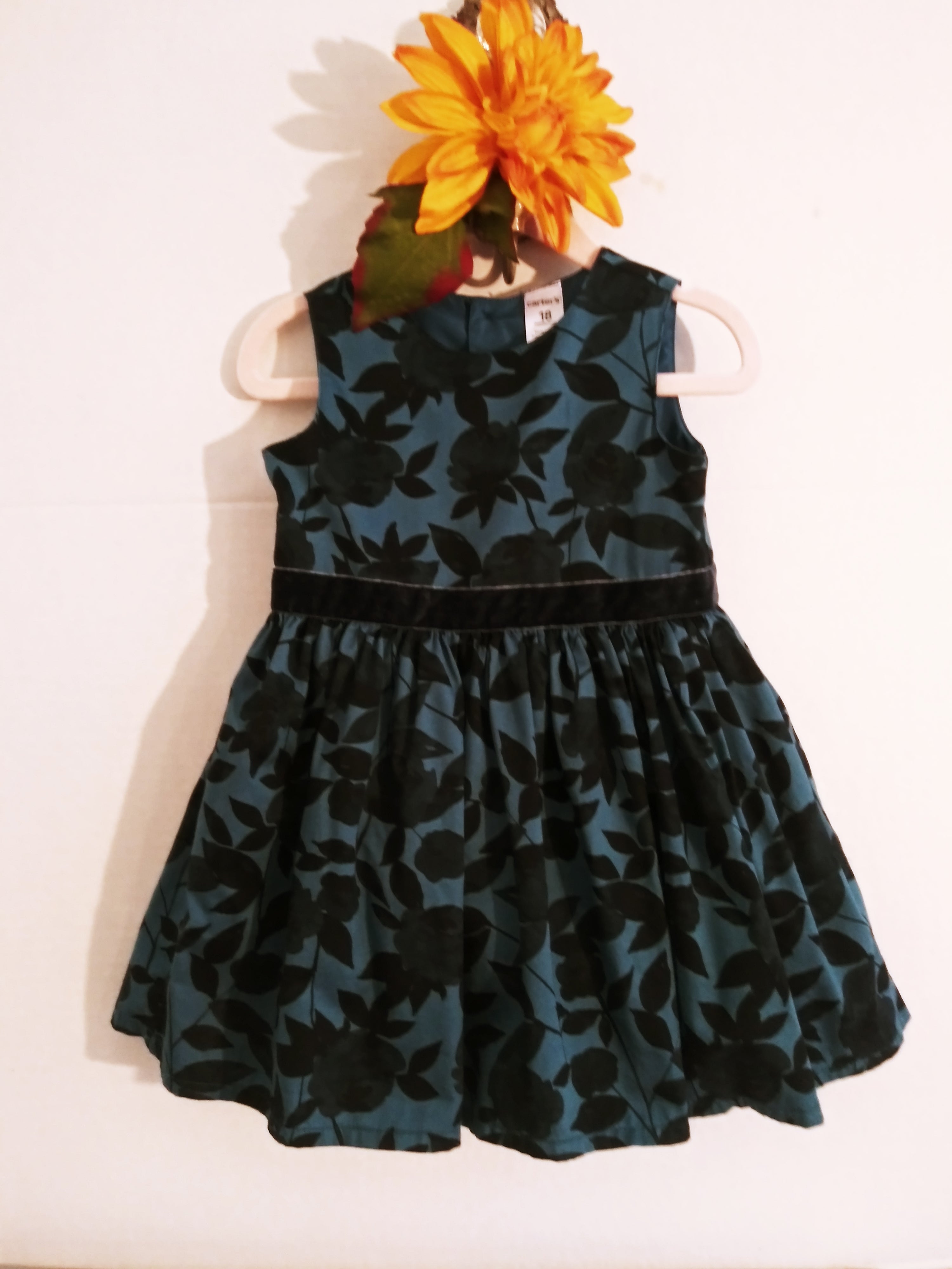 Melody Mink (18 months) Girl's Dress