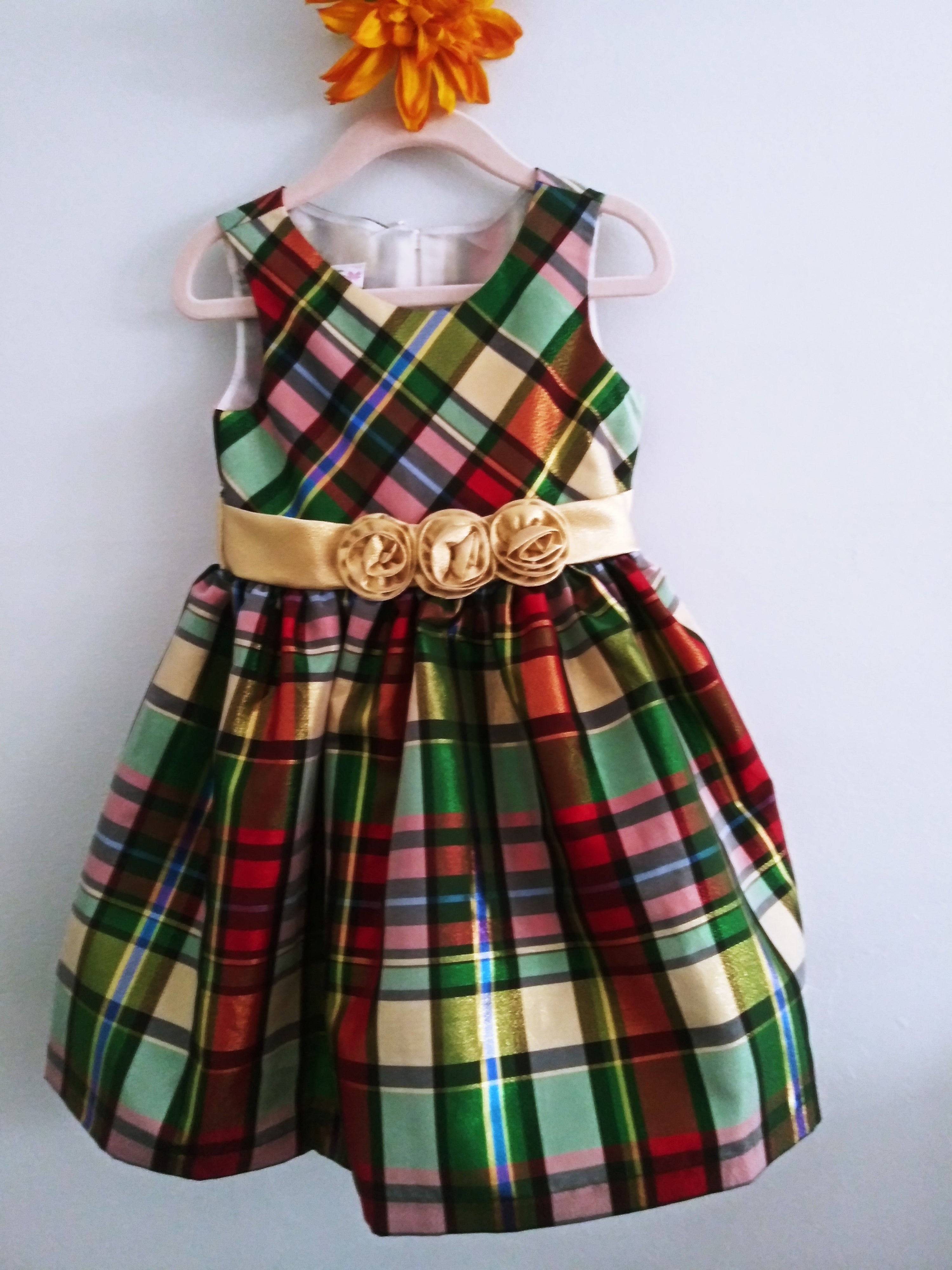 Regal Robin (Size 3T) Girl's Dress