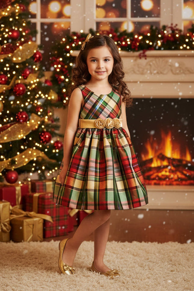 Regal Robin (Size 3T) Girl's Dress