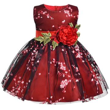 Ruby Rose (Various Sizes) Girls' Dressess