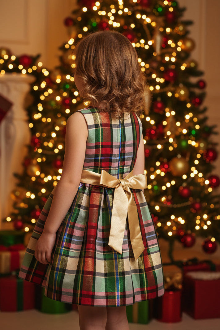 Regal Robin (Size 3T) Girl's Dress